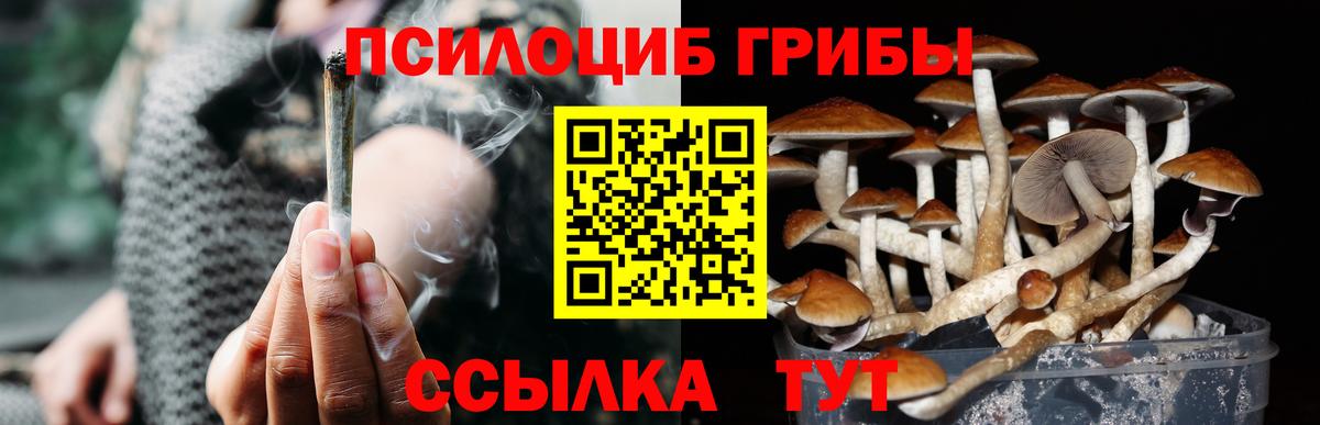 Галлюциногенные грибы ЛСД  Вход с VPN  Псилоцибиновые грибы MAGIC MUSHROOMS  Кингисепп 